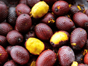 image huile de buriti